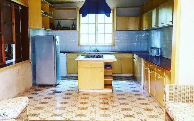 The Pelicans Castaway