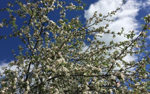 Отель «Коттедж на Волге в Завидово»