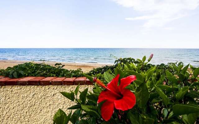 Casa la conchiglia sulla spiaggia