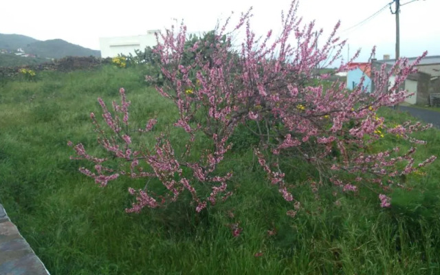 Casa Abuelo Buenaventura