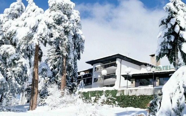 Bor & Edelweiss Hotels