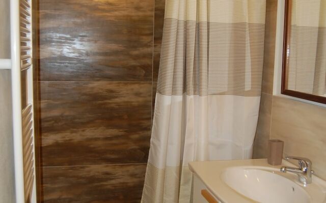 B&B Fraxinus Excelsior