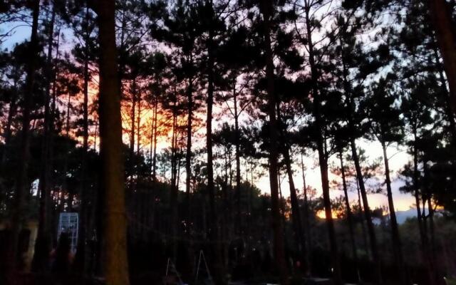 Tremolo Villas Dalat