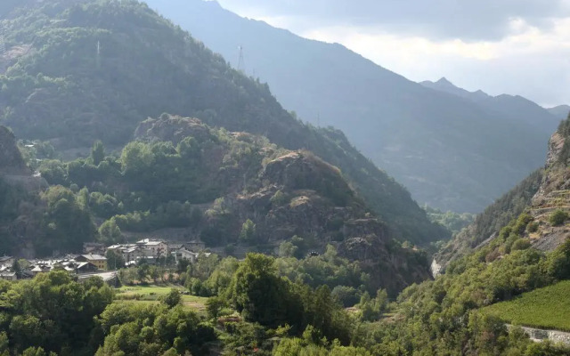 View of the vineyards