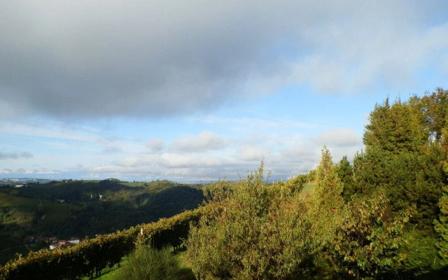 The Grape Pergola House