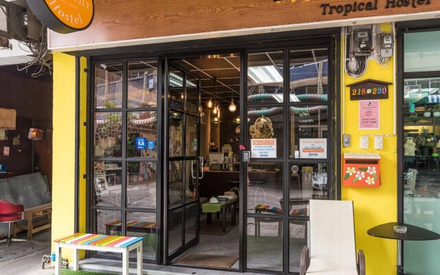 Tiger Lily Hostel