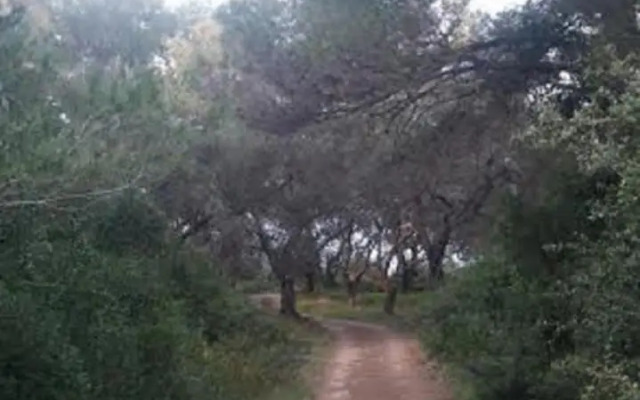 Villa Vardia
