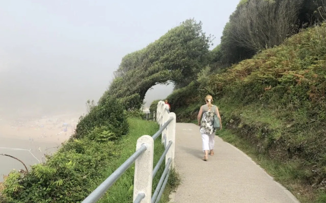 Stunning Beach Front Apartment in Caswell Swansea