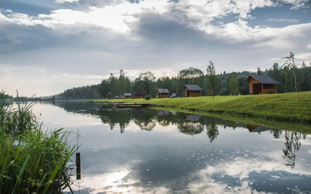 Золотые караси