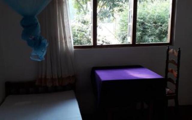 Pinnawala home stay