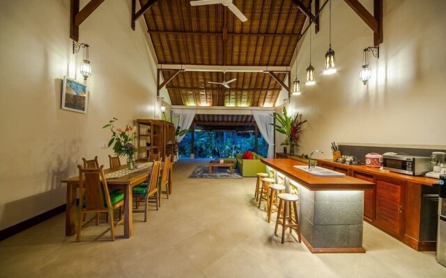 Infinity Jungle View Aashaya Villa Ubud