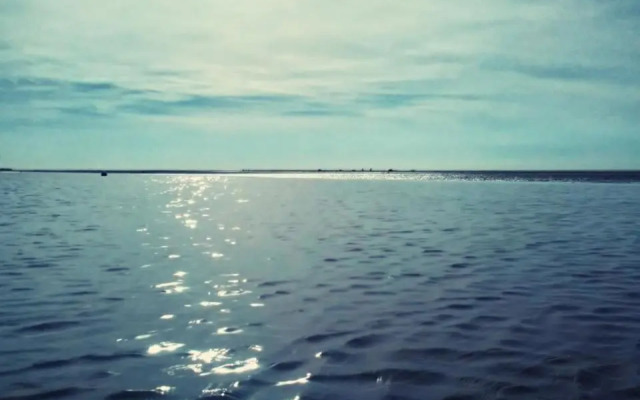 De Tureluur Bruinisse