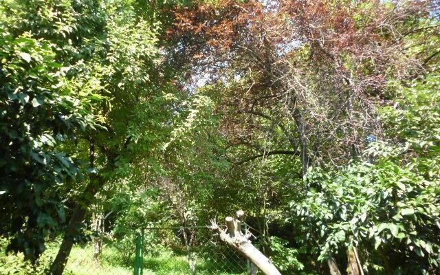 Irakli Guest House
