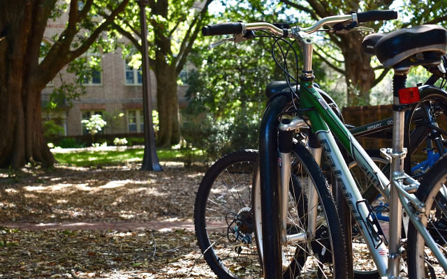 Maison Chevreuse, chambre chez l'habitant