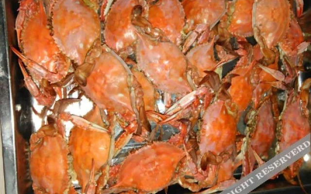 sulanlvguan