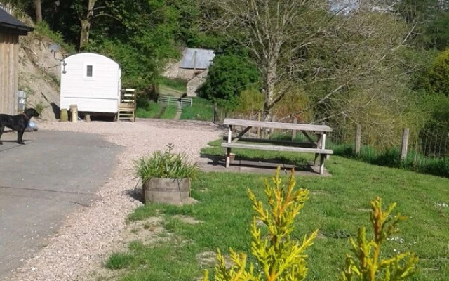The Shepherd's Hut
