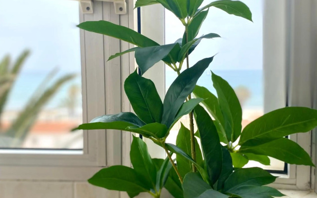 Apartamento Luz del Mar