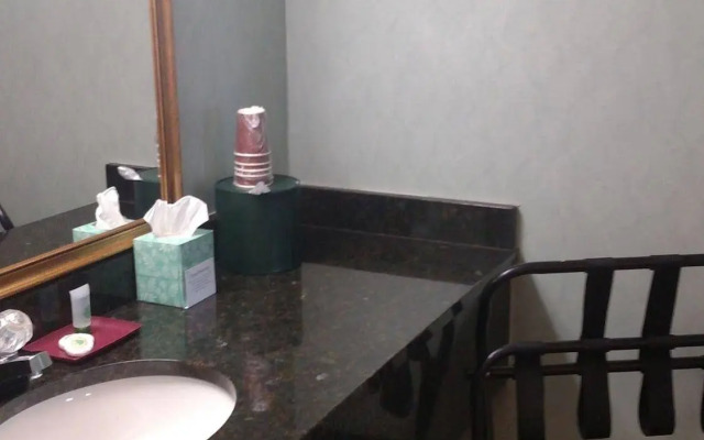 Downtown Inn and Suites
