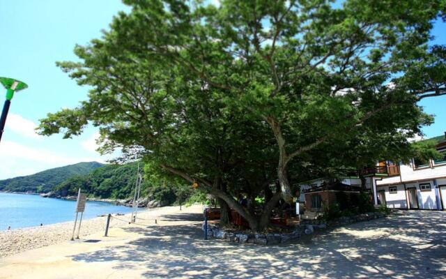 Pinky Marine Pension