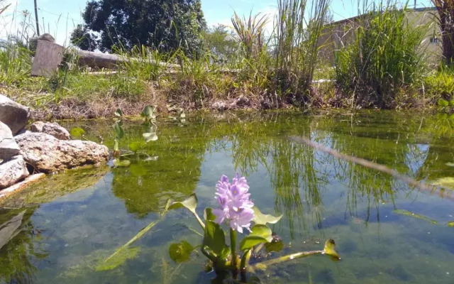 Bungalows Tiempo Libre