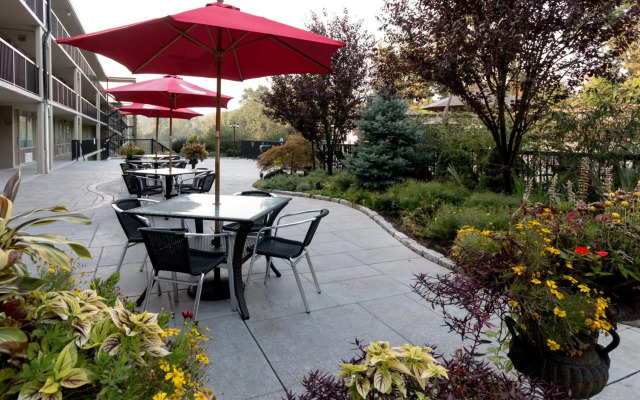 New Hope Inn & Suites
