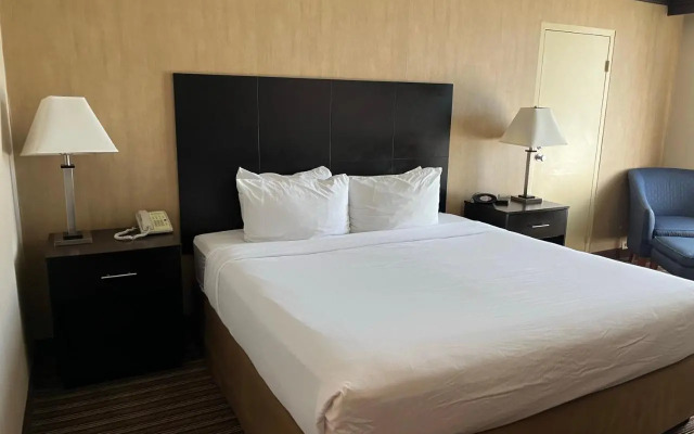 BEST WESTERN PLUS Schaumburg Hotel