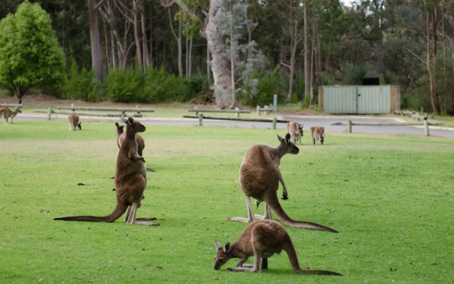 Yanchep Seaside Cottage