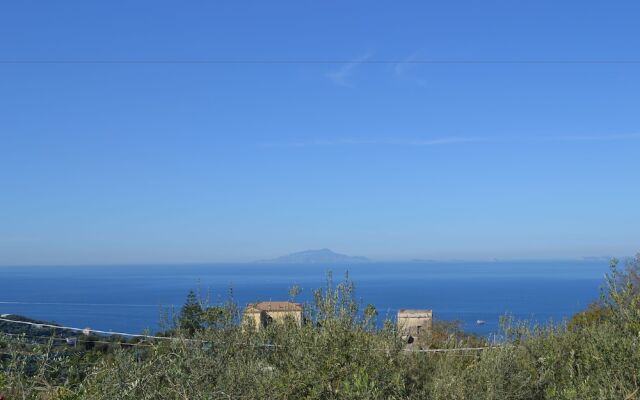 Casa Degli Ulivi