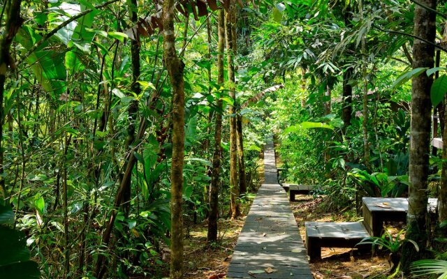 Yatama Ecolodge Sarapiqui