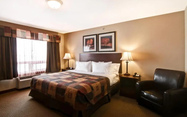 Super 8 Camrose