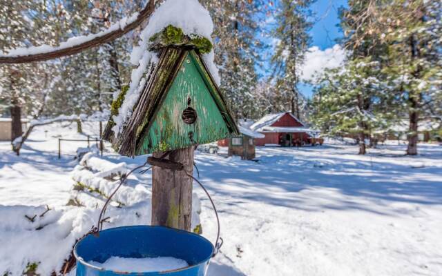 The Davies Family Inn