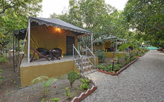 Gir Lion Safari Camp