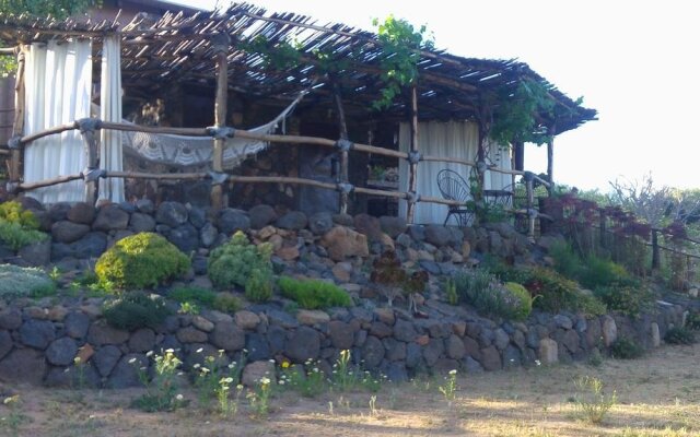 Quinta Maria en la Ruta del Vino