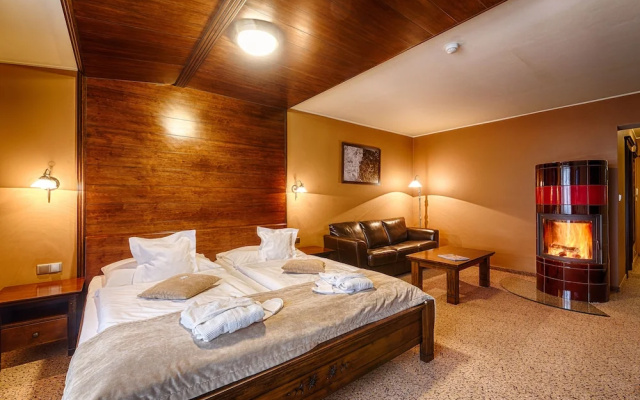 Wellness Hotel Borovica