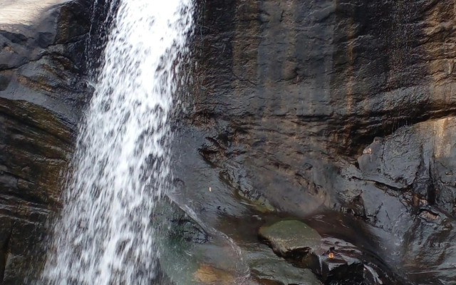 Thomasha Holiday Inn