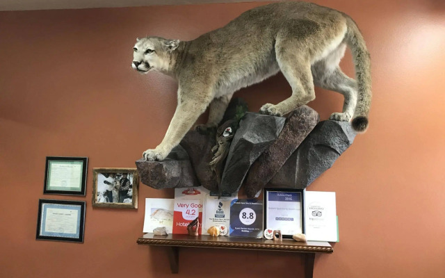 Broken Spur Inn & Steakhouse