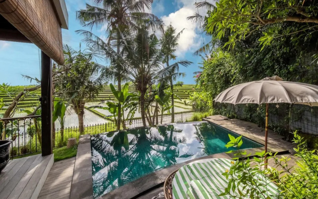 Tropical Private Villa, 3 BR, Canggu Ricefield View