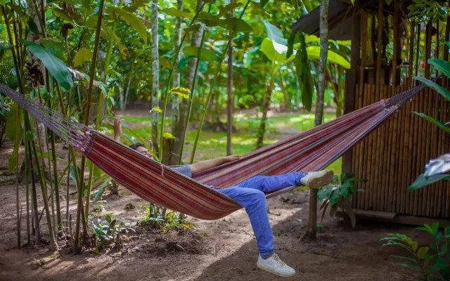 Tronco Tambopata Adventure
