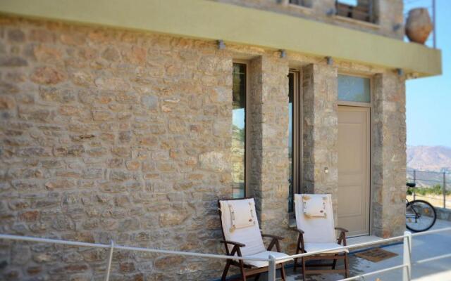 Luxurious Stone house