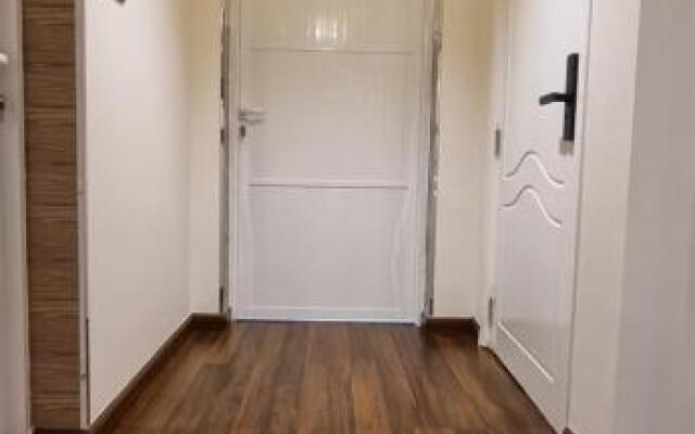 The 513 Room