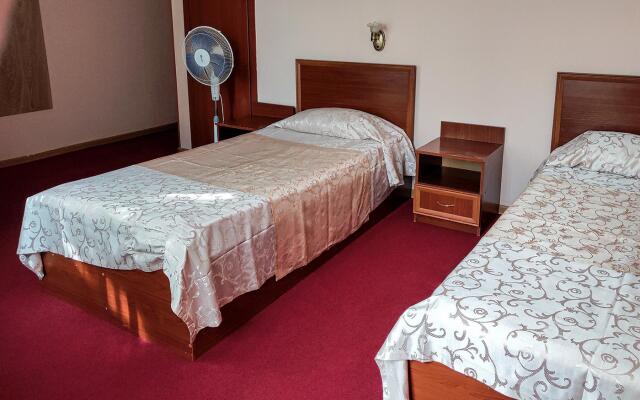 Alyans Vidnoe Hotel