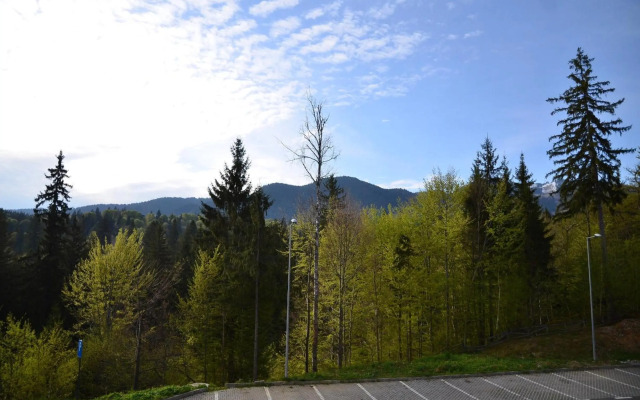 Silver Pine Apartment