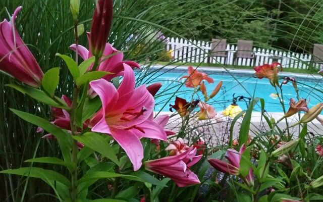 The Wooden Duck Bed and Breakfast