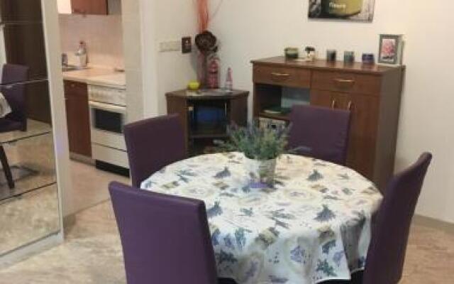 Apartment Jasna B