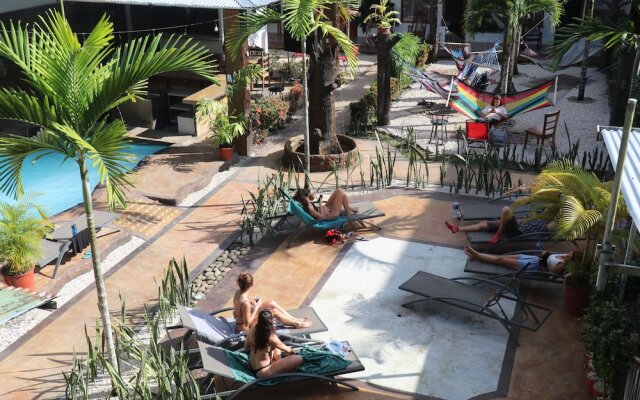 Arenal Poshpacker - Hostel