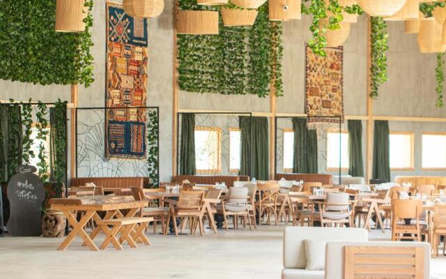 Oasis212 Dakhla