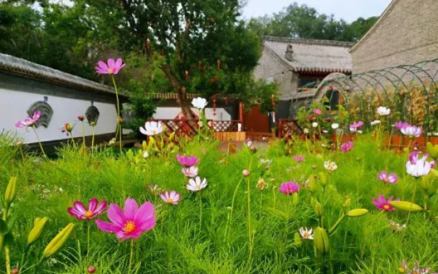 Bei Jing Badaling Haitang Tree Homestay