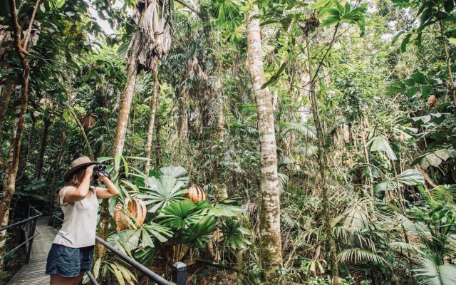Daintree Wilderness Lodge