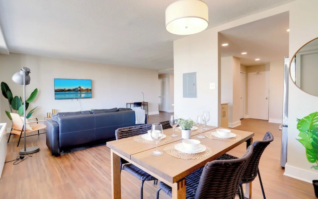 Crystal City Modern Apt w Gym