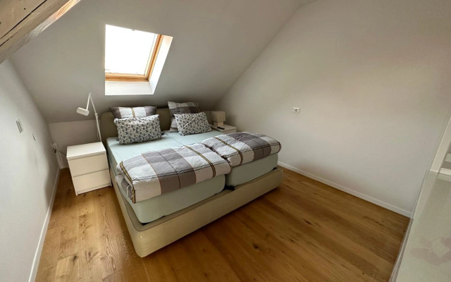 Top view residence in central Ljubljana